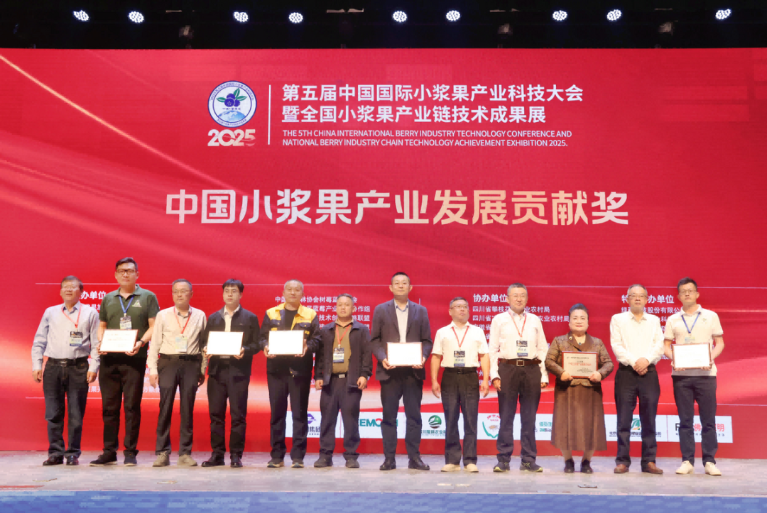 金鼎国际(中国区) - 官方网站